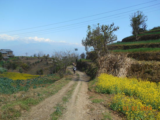 ... mit den terrassenförmigen Beeten ...
