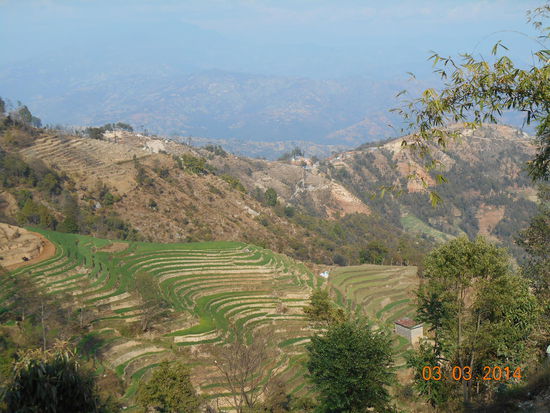 ... und Feldern, ...