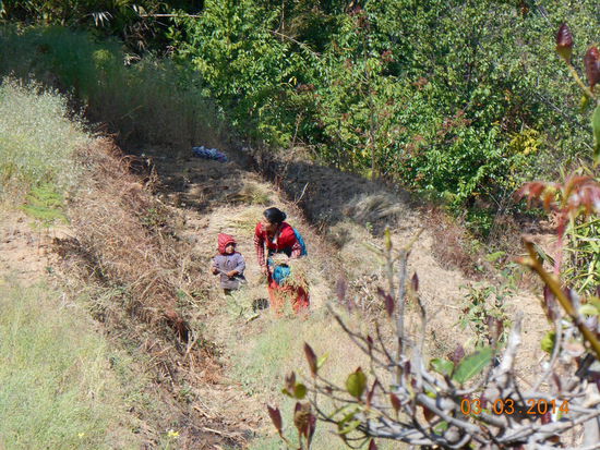 ... denen man auf dem Weg begegnet, ...