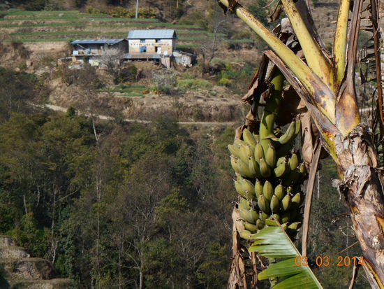 ... lassen einem das Herz aufgehen .