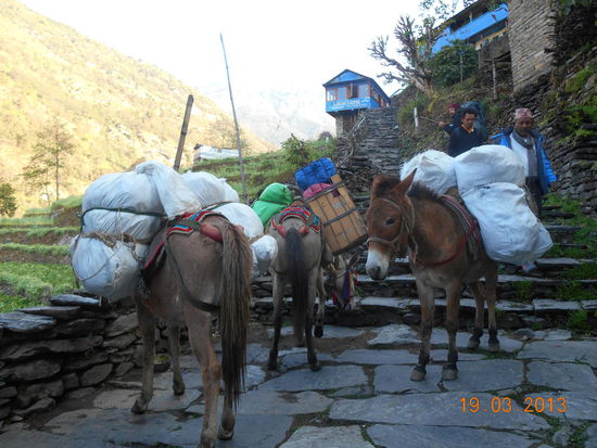 Kein Platz mehr für Autos