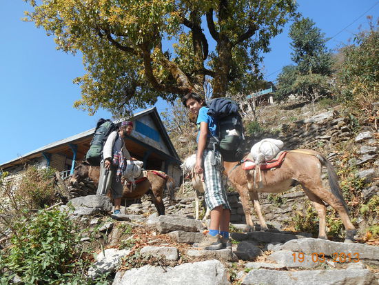 Steile Stufen ohne Ende