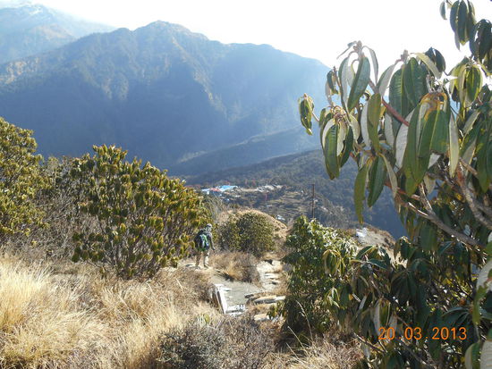 Ghorepani von Poon Hill aus betrachtet (Abstieg)