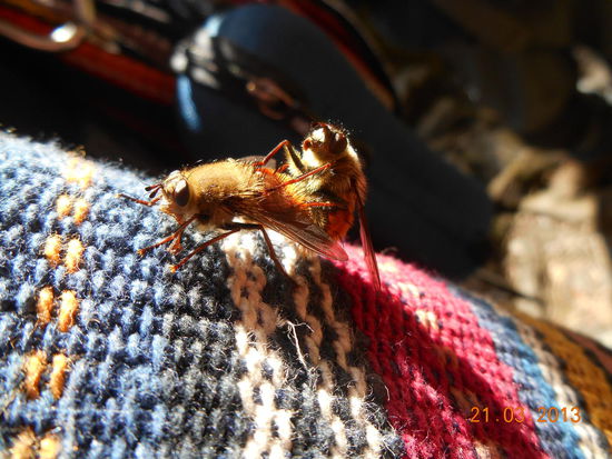 Upps, was soll man denn dazu sagen?