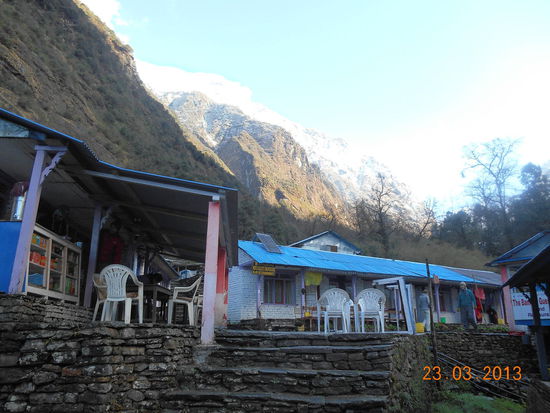 Start morgens in Bamboo