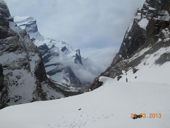 ... wurde immer dichter.