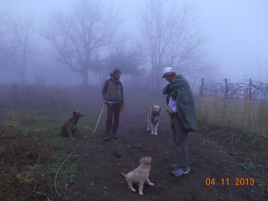 Kurz vor dem Wasserfall gab es ein paar Hütten in den Bergen, dort wurden wir von diesen Hunden zuerst angebellt und dann ein Stück begleitet.