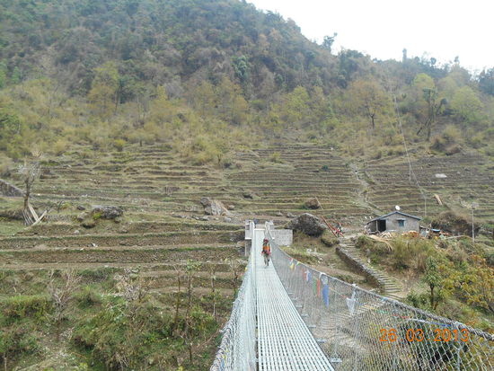 Brücke vor Chhomrong