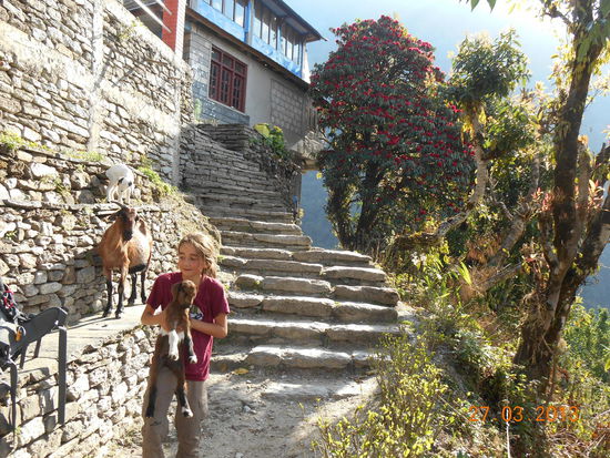 Medea würde das Zicklein natürlich am liebsten mitnehmen.