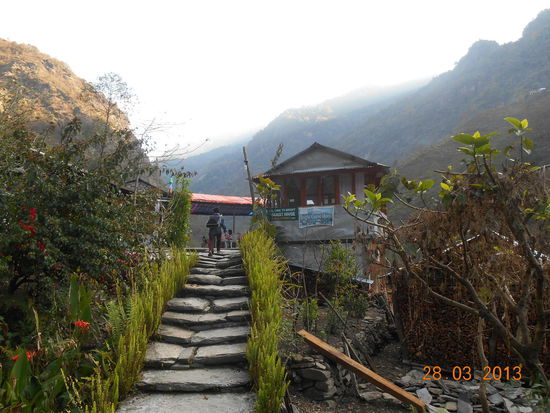 Bright Guest House ...