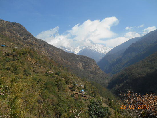 Letzter Blick zurück auf die Eisberge ...
