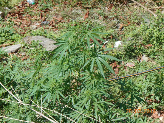 Was haben wir denn hier?