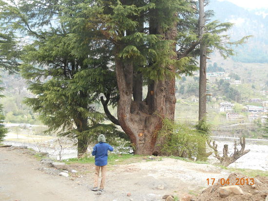 Auf dem Weg nach Goshal