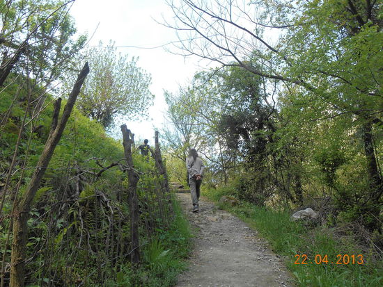 Gasthäuser sind manchmal gut versteckt.