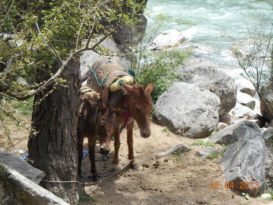 Einige Dörfer können nur per Esel bzw. per Pferd beliefert werden.