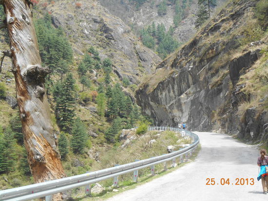 Hinter der nächsten Kurve musste es sein.