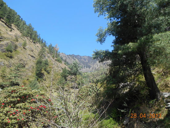 Rasol in weiter Ferne