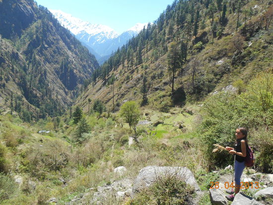 Die Schlucht von oben