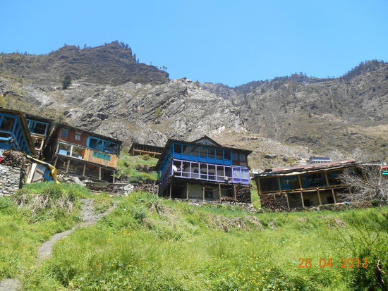 In diesem Gras kroch die Schlange herum .