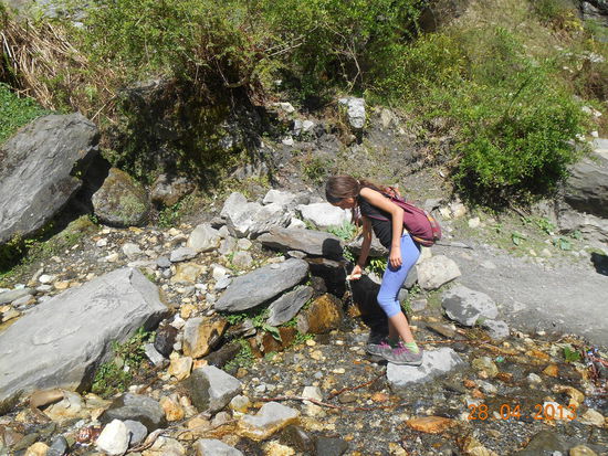 Rast an einer Quelle