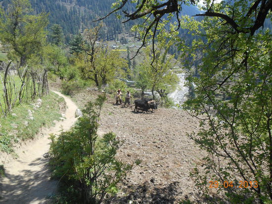 ... und Äckern vorbei, ...