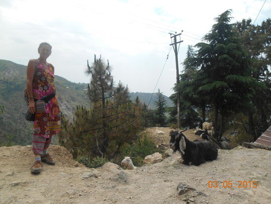 Dieses und die folgenden Bilder ...