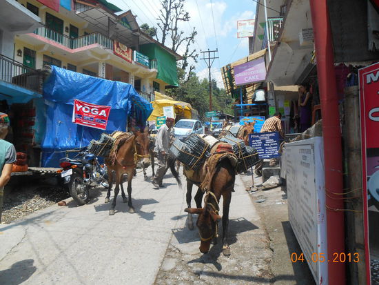 Schmale Strasse in Bhagsun