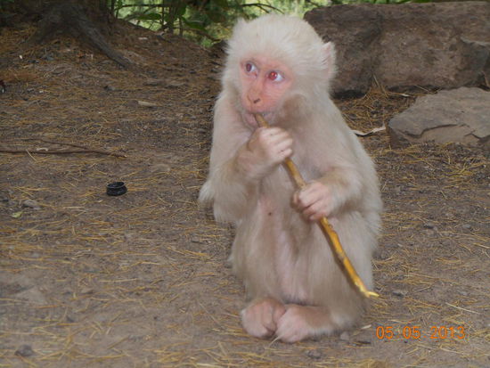 ... war einfach nur schnuddelig.