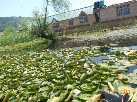 Blick aus dem Fenster unseres "Schlafzimmers"