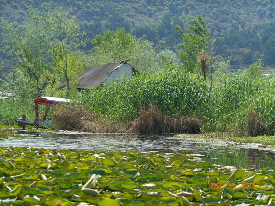 Natur hinter unserem Boot