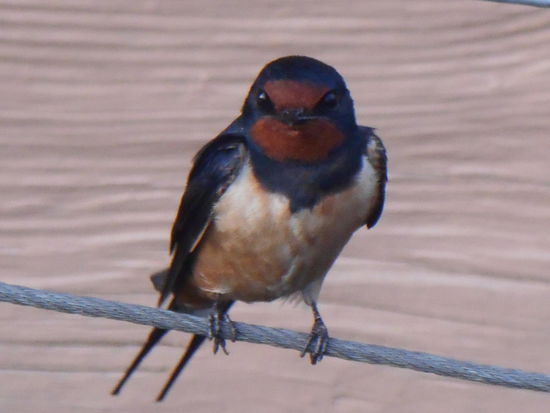 "Wer seid ihr denn?"