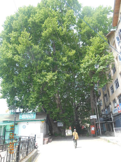 Am Fluss entlang, auf der Suche nach der Altstadt
