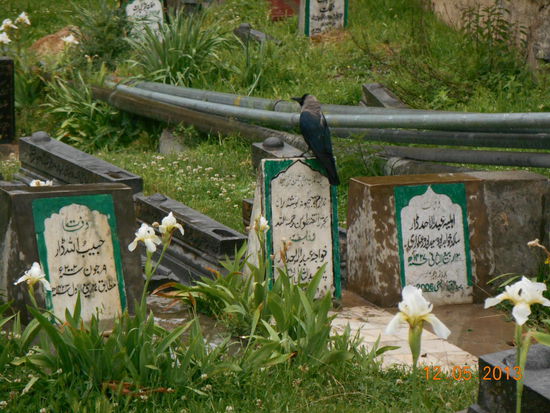 Der richtige Weg führte über einen Friedhof.