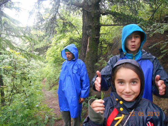 Schon halb durchgeweicht suchten wir Schutz unter einem Baum.