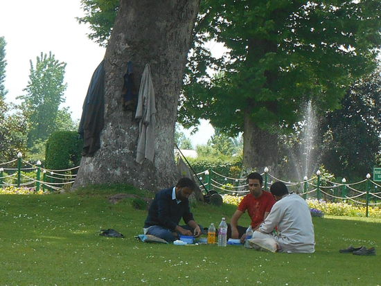 Männerpicknick im Nishat Bagh