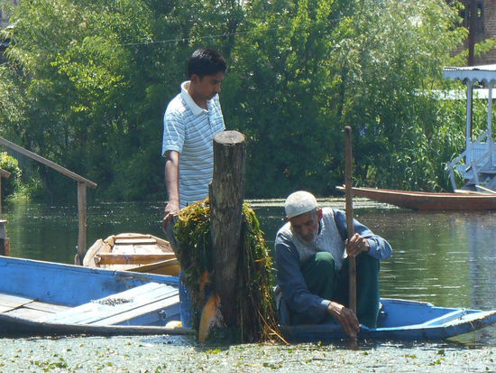 Durch das Entfernen von Schlingpflanzen muss der See an manchen Stellen erst wieder befahrbar gemacht werden.