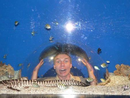 Panic under water!