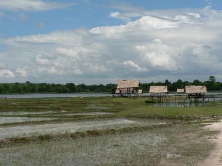 Camp am See