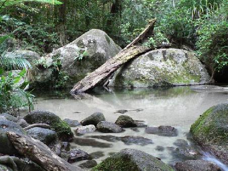Mossman Gorge