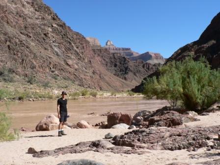 Der Colorado River, irgendwie viel zu zahm