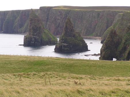 Duncansby Stacks