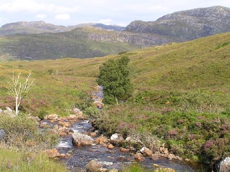 In den Highlands