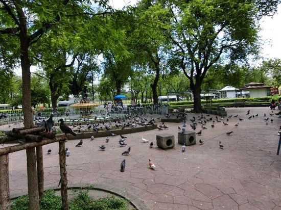 Der Marcusplatz von Bangkok