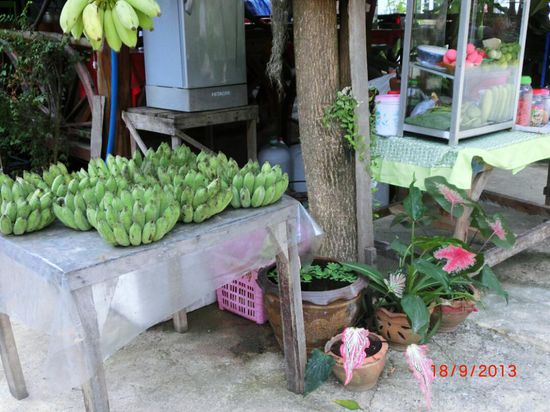 Bananen ueberall wo man hinschaut.....