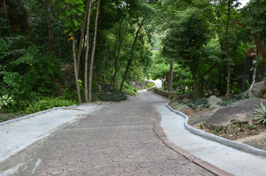 Es ist steiler als es aussieht - believe us