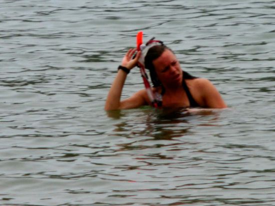 Robbe auf Tauchkurs...