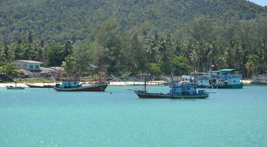 Boote, ueber Boote, die frischen Fisch an Land bringen.....