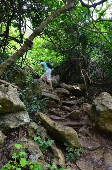 Der Aufstieg...schafft sie die 500m?
