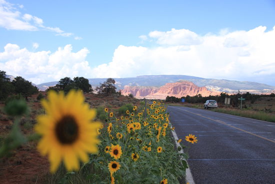 Blick auf den Capitol Reef Nationalpark