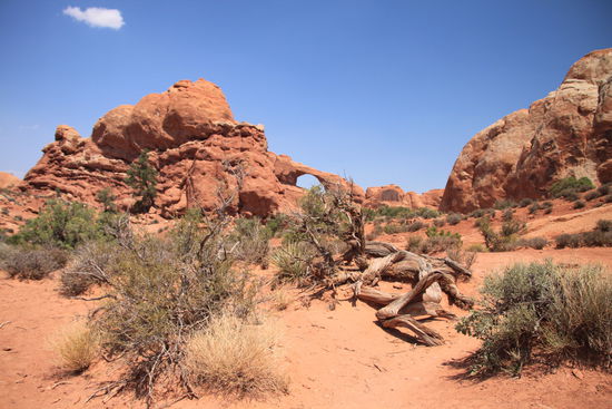 Arches Nationalpark